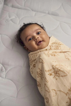 Filibabba Pieluszka muślinowa 120 x 120 cm GOTS Dreamy Adventurers