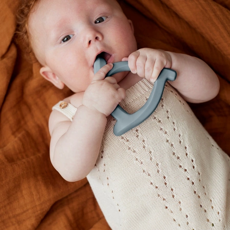 Gryzak silikonowy, morski, Everyday Baby