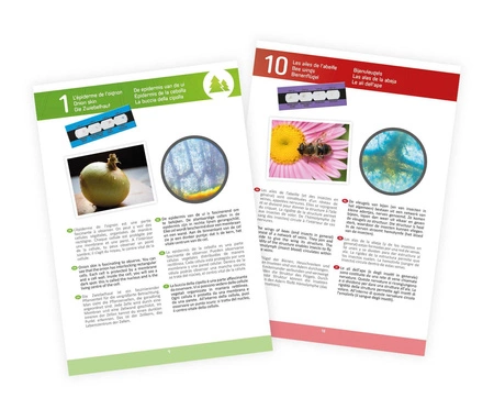 Mikroskop 15 doświadczeń - MR400