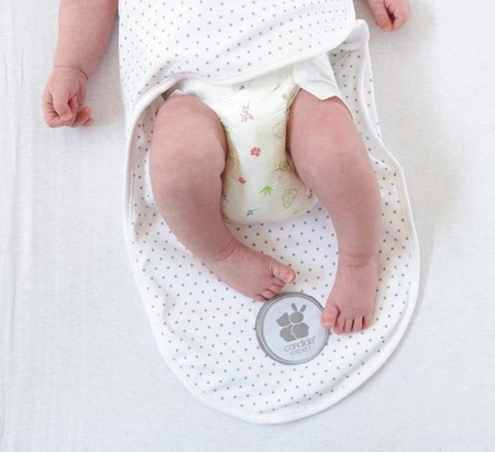 Candide Otulacz w Gwiazdki