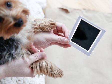Pearhead Ramka z Atramentowym Odciskiem Łapy Pupil Stojąca White