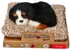 Perfect Petzzz Mały berneńczyk na legowisku