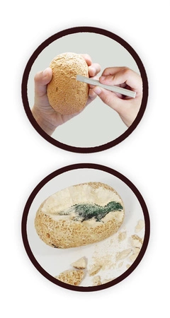 Mega paka jajek dinozaura - 12 sztuk 2138