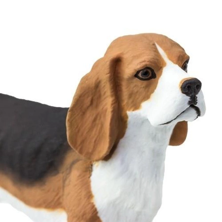 Safari Ltd. Figurka Pies Beagle
