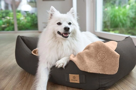 PALOPA Legowisko dla psa bawełniane Fred anthracite XS