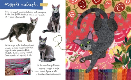 Mały atlas kotów (i kociaków) Ewy i Pawła Pawlaków wyd. 2022