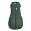 ergoPouch Otulacz Śpiworek 3-6M 2.5TOG Veggie Patch