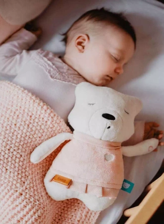 SZUMISIE - SZUMIĄCY MIŚ SUZY Szumiś