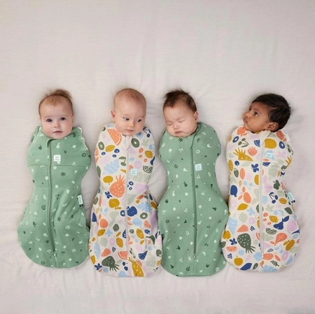 ergoPouch Otulacz Śpiworek 3-6M 2.5TOG Sweet Orchard