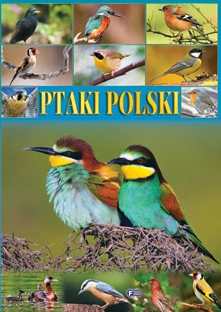 Ptaki polski wyd. 2014