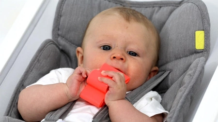 DENA Kid + House RED