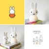MrMaria Miffy Shines