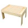 MASTERKIDZ STEM Activity Table Combo