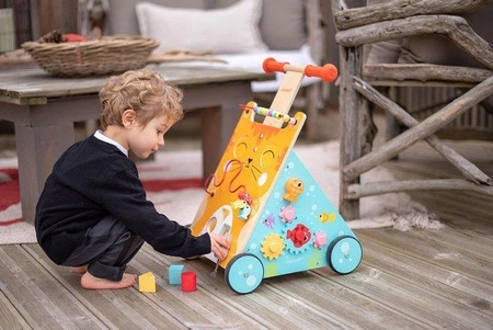 Wielofunkcyjny pchacz edukacyjny Kot, Janod