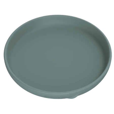 Talerzyk silikonowy bez przyssawki, morski, Everyday Baby