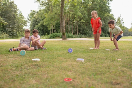 BS Toys, Drewniana gra zręcznościowa Turlaj krążki