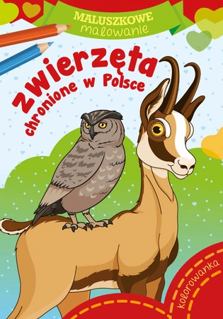 Zwierzęta chronione w Polsce. Maluszkowe malowanie