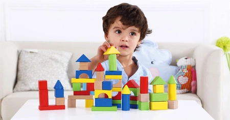 TOOKY TOY Drewniane Klocki 50 el.