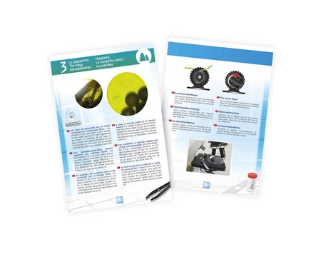 Mikroskop 50 doświadczeń - MR600