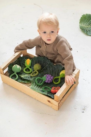 Oli&Carol Gryzak Grzechotka Winogrono