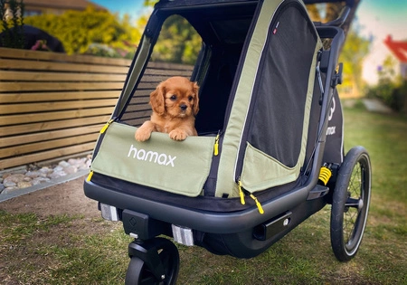 Hamax - Przyczepka rowerowa dla psa - Pluto M do 35 kg - Green / Black
