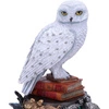 Hedwiga Figurka 22 cm Harry Potter