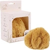 Gąbka morska naturalna - Silk XL
