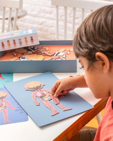 Magnetyczna układanka Apli Kids - Ciało Człowieka