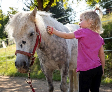 Drewniany zestaw do karmienia i pielęgnacji konia 8 elementów akcesoria do Hobby Horse Erzi 42645