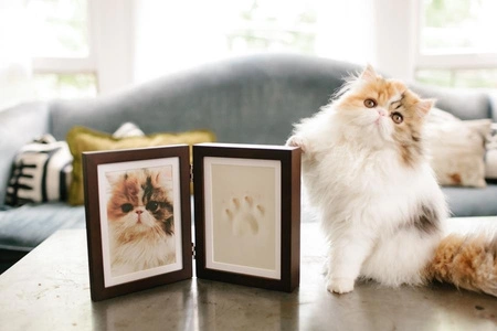 Pearhead Ramka z Odciskiem Łapy Pupil Stojąca Espresso