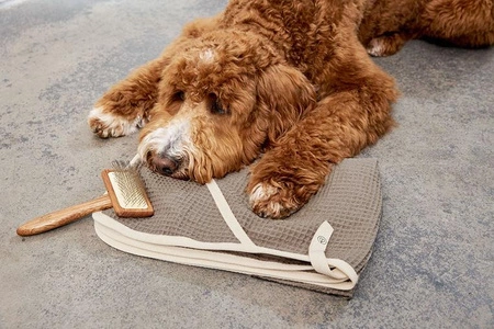 PALOPA Ręcznik dla psa Nobs taupe M-L