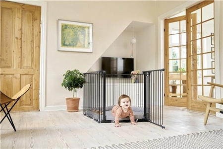 Baby Dan - Kojec Carl Pentagon, czarny