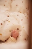 Filibabba Zestaw pościelowy 2 el. Baby Chestnuts
