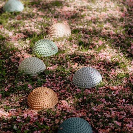 Ścieżka sensoryczna Find that Hippo - Wschód słońca