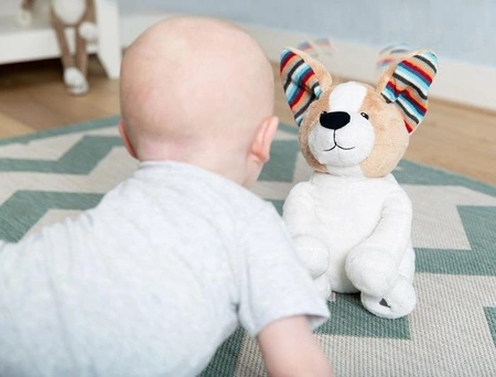 Zazu DANNY Pies Interaktywny A Kuku