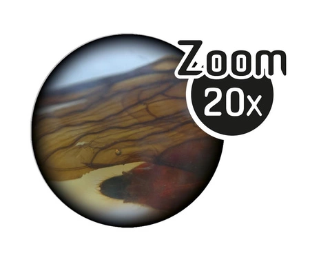 Mikroskop dwuokularowy 40 doświadczeń MR500