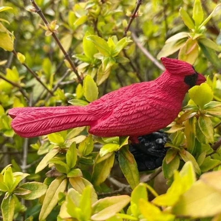 Safari Ltd. Zestaw Figurek - Mieszkańcy Lasu