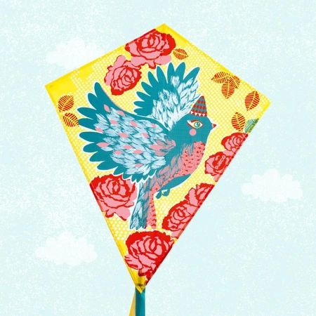 Latawiec BIRD DJ02153