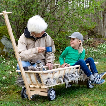 Drewniany wózek drabiniasty Micki