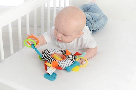 Zabawka sensoryczna Ptaszek, Dolce