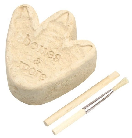 Bones&More, Duży szkielet dinozaura - wykopalisko odcisk łapy