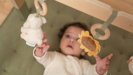 Little Dutch Pałąk interaktywny BabyGym Little Farm LD8810