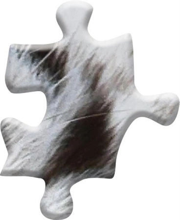 MADD CAPP, Puzzle konturowe I AM - Biały Tygrys 300 elem.