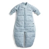 ergoPouch Śpiworek Kombinezon 3-12M 2.5TOG Dragonflies
