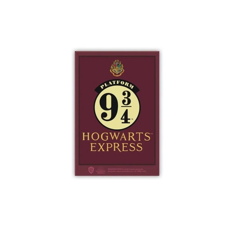 Peron 9 3/4 Magnes Harry Potter