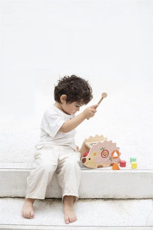 CLASSIC WORLD Przebijanka Cymbałki Sorter 3w1 Jeż 9 el.