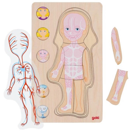 Drewniana układanka anatomia ciała dziewczynka Goki 57362
