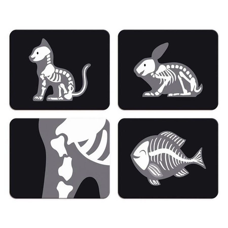 USZKODZONE OPAKOWANIA Janod Zestaw weterynarza z 10 akcesoriami 3+