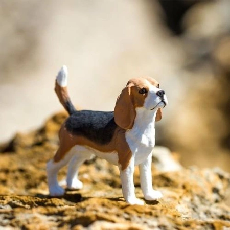 Safari Ltd. Figurka Pies Beagle