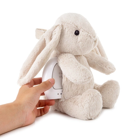 Cloud b® LoveLight Buddies Billy Bunny™ - Szumiący Królik z czujnikiem ruchu i pozytywką